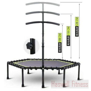 slt fitness trampoline from china haswell