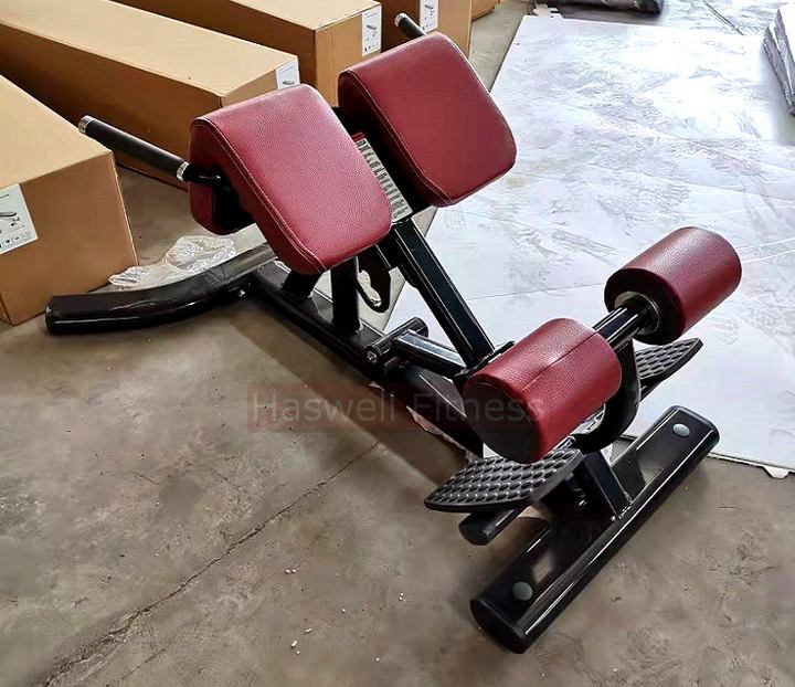 slt gym equipment manufacturers lf3517 roman chair back extension bodybuilding machine 1